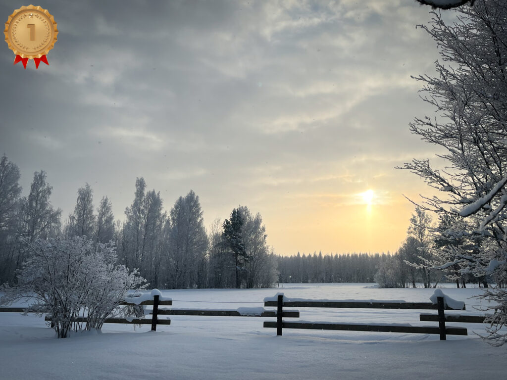 Kõrgemale veel ei jõua