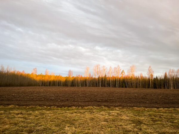 Päikesetõus Pääsnal