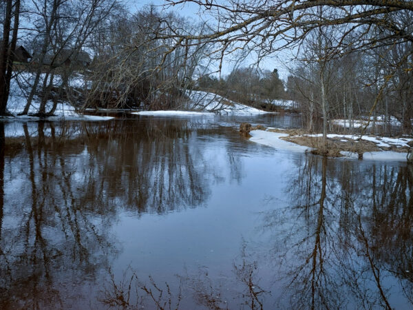 Peegeldused 1 (Veebruar)