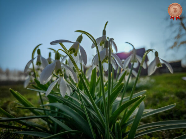 Päikeseloojang Pääsnal