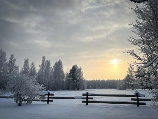 Kõrgemale veel ei jõua (Detsember)