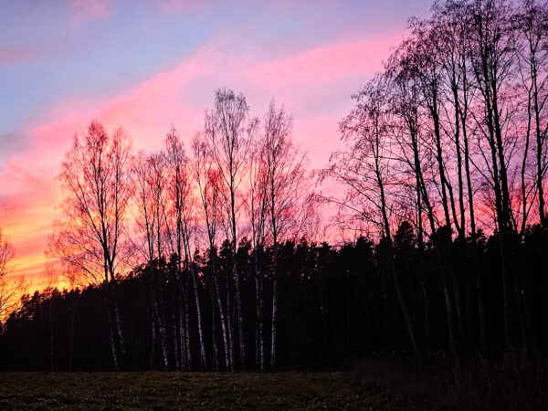 Valgus astub pimedusse