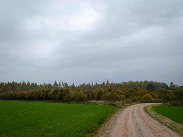 Rohepöördelises kurvis