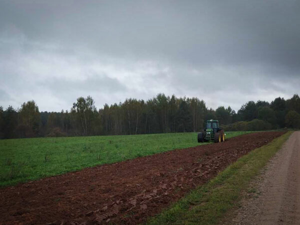 Sirgjooneline sügis