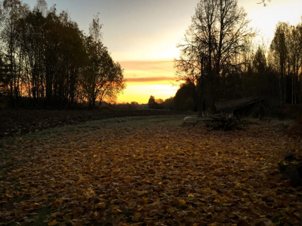 Päikesetõus Pääsnal