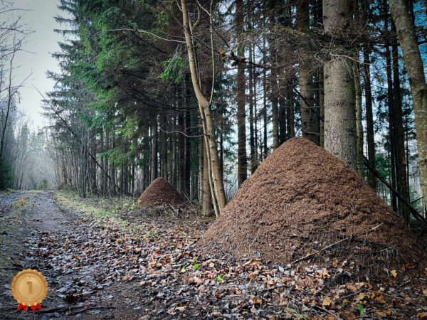 Pääsna püramiidid