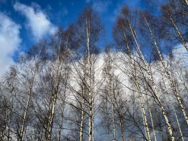 Oleme pilve pikkused