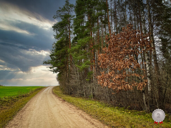 Sügise viimane aplaus