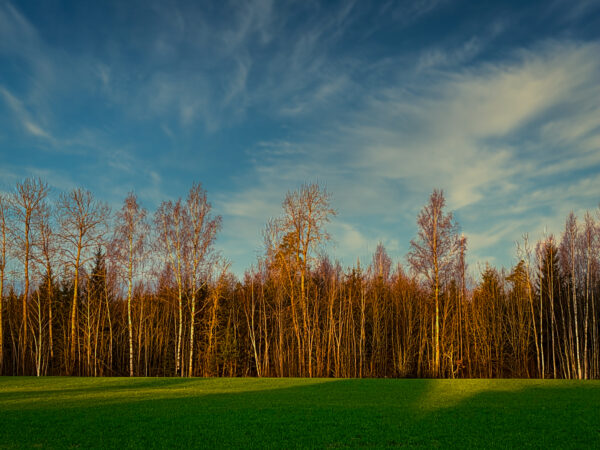 Päikese helge puudutus